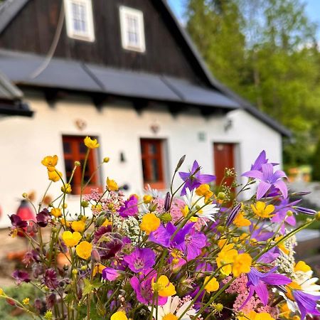 Vila Rozpravkovy Domcek Zvoncek Donovaly Exteriér fotografie