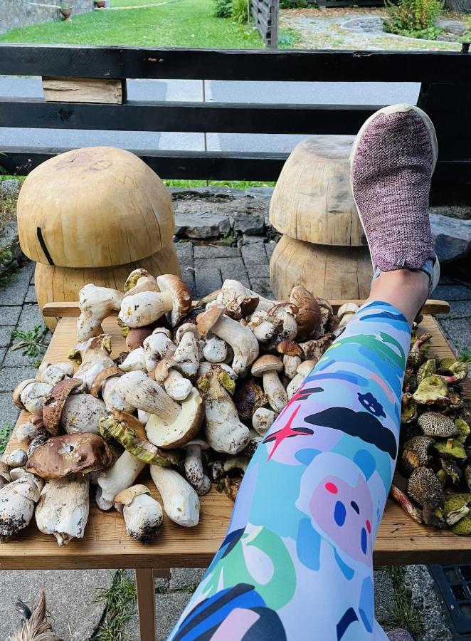 Vila Rozpravkovy Domcek Zvoncek Donovaly Exteriér fotografie