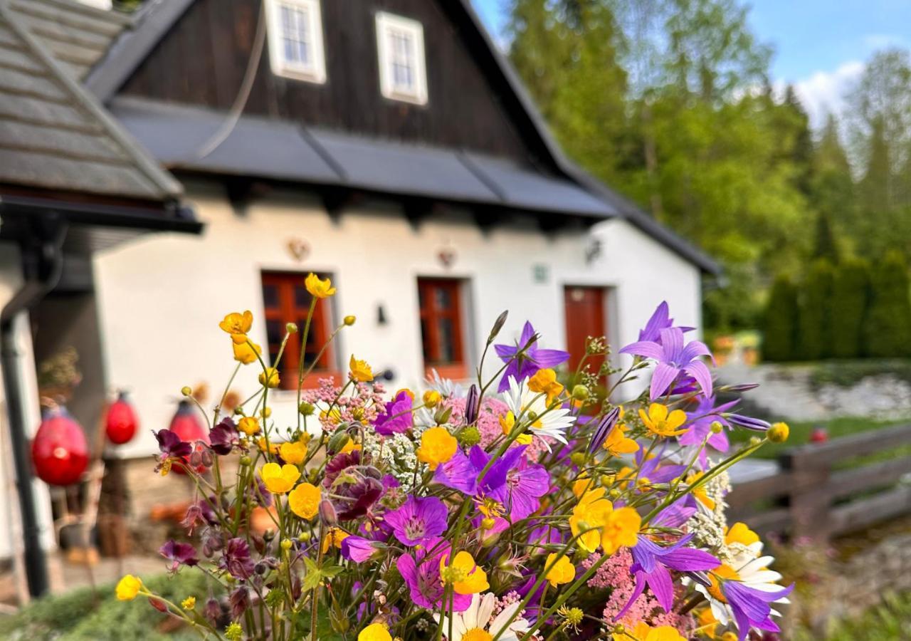 Vila Rozpravkovy Domcek Zvoncek Donovaly Exteriér fotografie