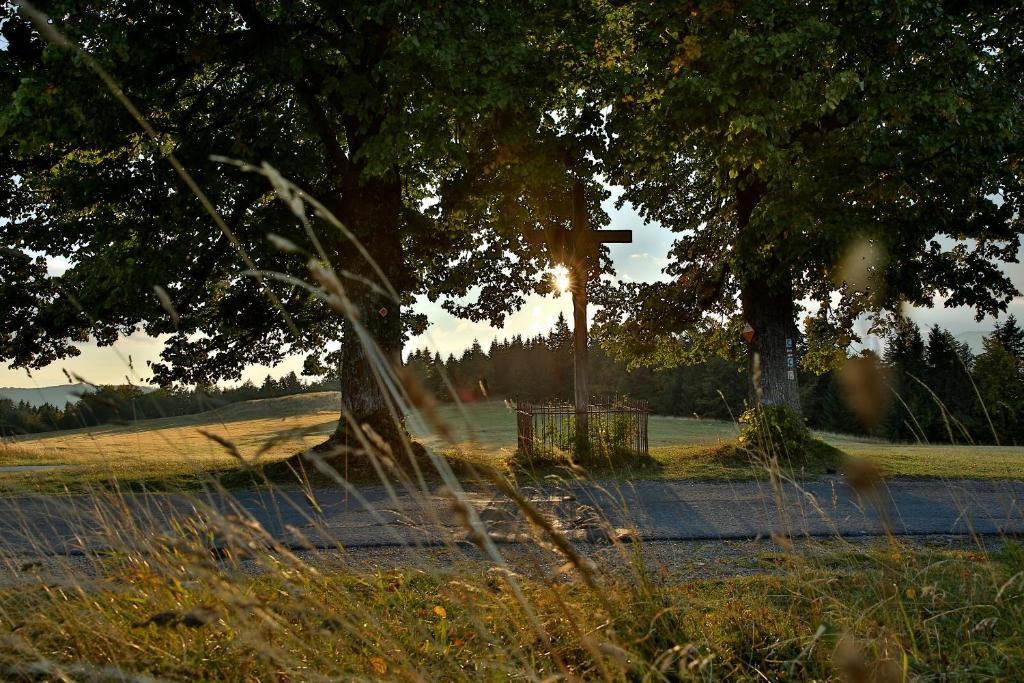 Vila Rozpravkovy Domcek Zvoncek Donovaly Exteriér fotografie